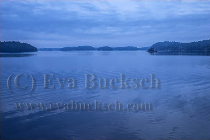Bl&aring; timmen - foto av Eva Bucksch